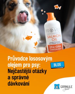 🔥 REVOLUČNÍ ŘEŠENÍ: 🐟Lososový olej - TEKUTÉ ZLATO pro vaše čtyřnohé parťáky! PŘED: ❌ Unavený pes ❌ Slabá imunita ❌ Mdlá...