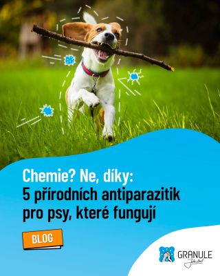 🐾 Pozor, kamarádi, přírodní mise startuje! 🍃 Chcete vědět, jak ELEGANTNĚ vyhnat klíšťata a blechy bez chemického arzenálu?...